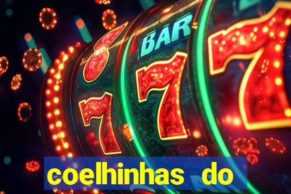 coelhinhas do brasil recife